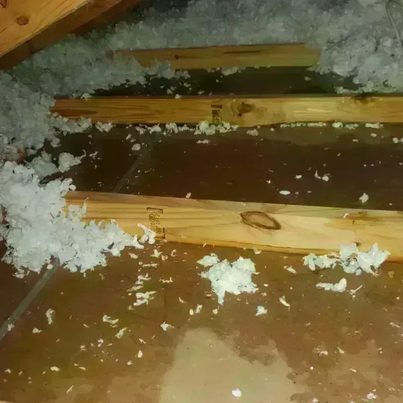 Attic Water Damage in Winnebago County, IL